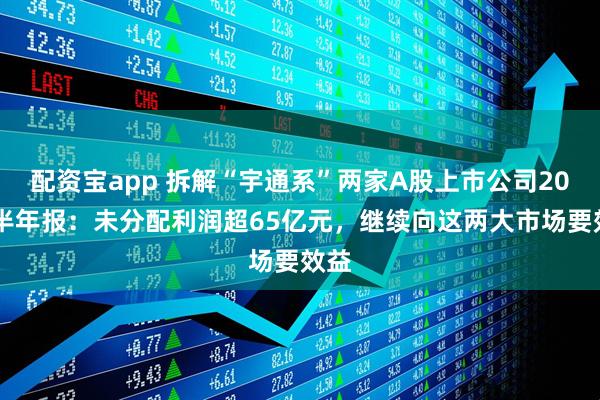 配资宝app 拆解“宇通系”两家A股上市公司2025半年报：未分配利润超65亿元，继续向这两大市场要效益