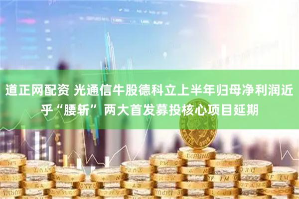 道正网配资 光通信牛股德科立上半年归母净利润近乎“腰斩” 两大首发募投核心项目延期