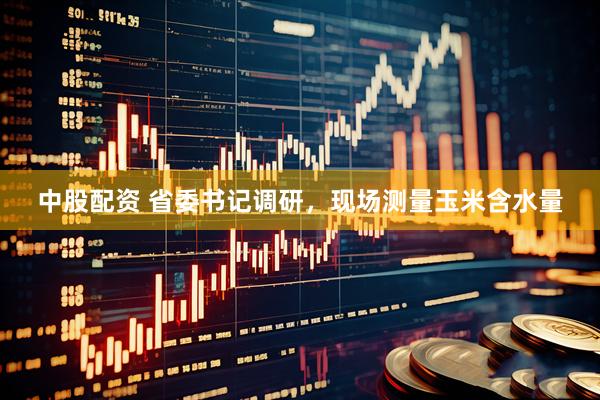 中股配资 省委书记调研，现场测量玉米含水量