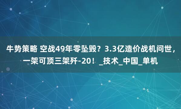 牛势策略 空战49年零坠毁？3.3亿造价战机问世，一架可顶三架歼-20！_技术_中国_单机
