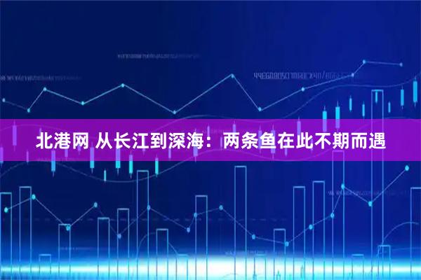 北港网 从长江到深海：两条鱼在此不期而遇