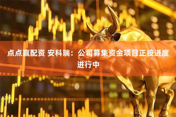 点点赢配资 安科瑞：公司募集资金项目正按进度进行中